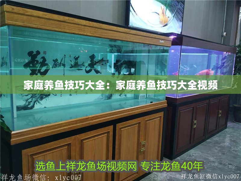 家庭養(yǎng)魚技巧大全：家庭養(yǎng)魚技巧大全視頻
