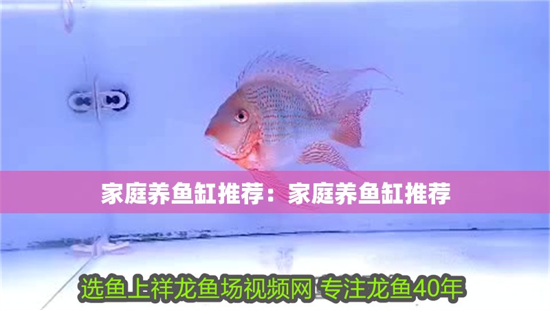 家庭養(yǎng)魚缸推薦：家庭養(yǎng)魚缸推薦 家庭養(yǎng)魚缸推薦：家庭養(yǎng)魚缸推薦 龍魚百科 第2張