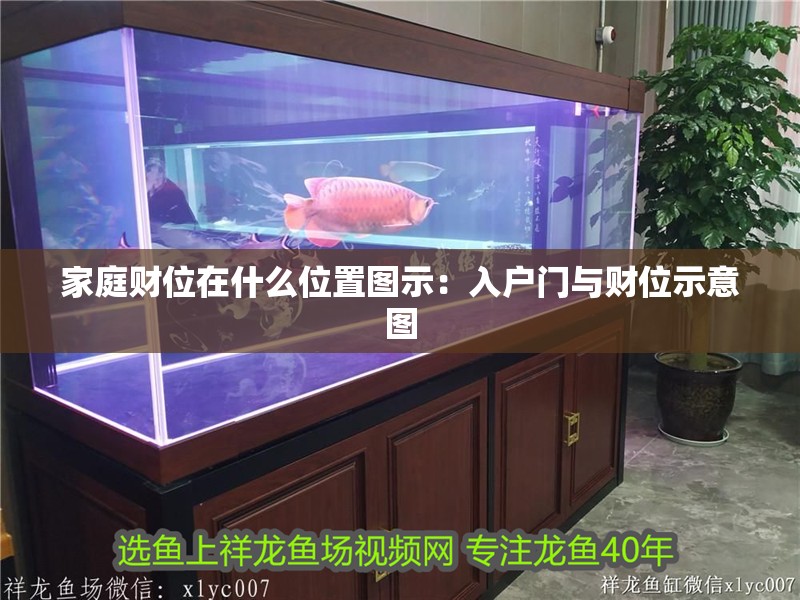 家庭財位在什么位置圖示：入戶門與財位示意圖