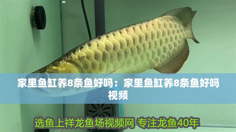 家里魚缸養(yǎng)8條魚好嗎：家里魚缸養(yǎng)8條魚好嗎視頻
