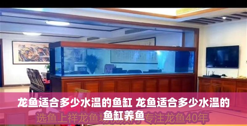 龍魚適合多少水溫的魚缸 龍魚適合多少水溫的魚缸養(yǎng)魚