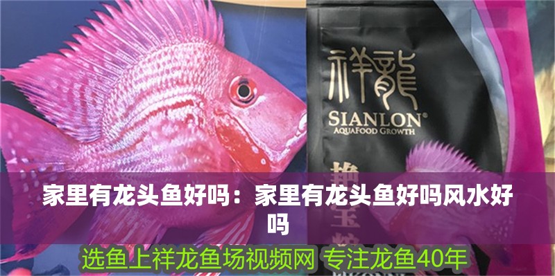 家里有龍頭魚(yú)好嗎：家里有龍頭魚(yú)好嗎風(fēng)水好嗎