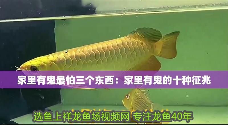 家里有鬼最怕三個東西：家里有鬼的十種征兆