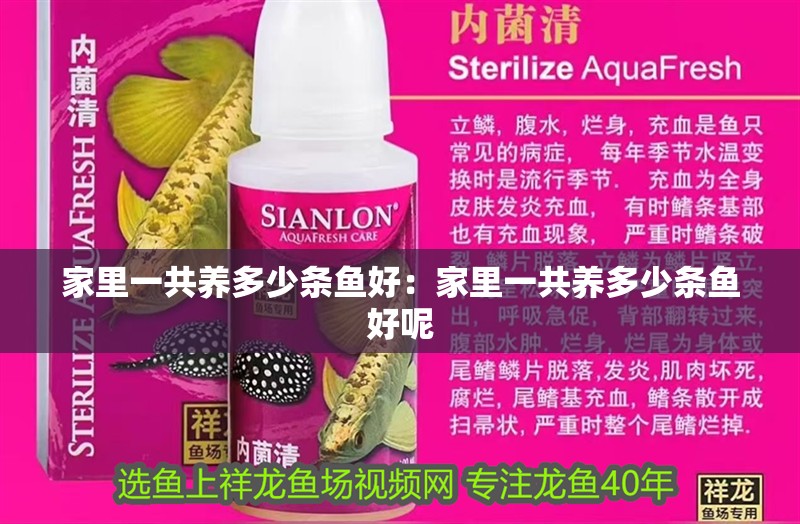 家里一共養多少條魚好：家里一共養多少條魚好呢
