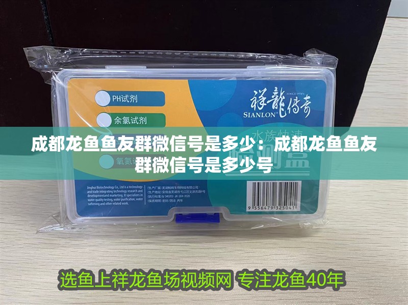 成都龍魚魚友群微信號是多少：成都龍魚魚友群微信號是多少號