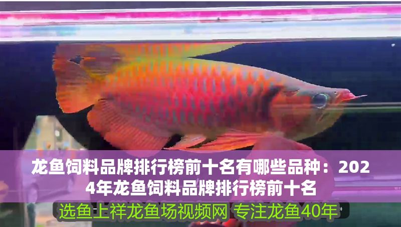 龍魚飼料品牌排行榜前十名有哪些品種：2024年龍魚飼料品牌排行榜前十名