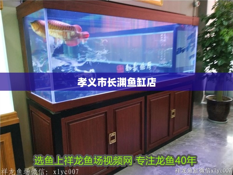 孝義市長(zhǎng)淵魚缸店