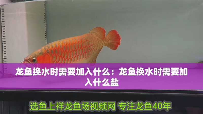 龍魚換水時(shí)需要加入什么：龍魚換水時(shí)需要加入什么鹽 龍魚換水時(shí)需要加入什么：龍魚換水時(shí)需要加入什么鹽 水族問(wèn)答