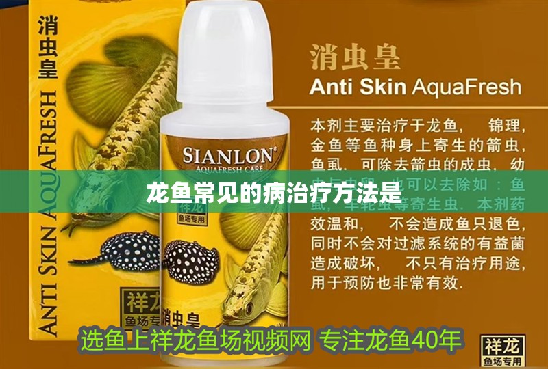 龍魚常見的病治療方法是