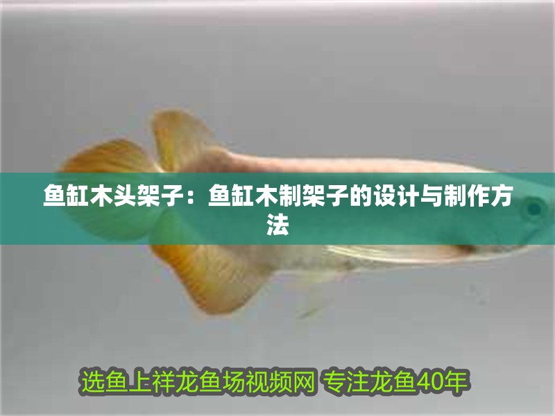 魚缸木頭架子：魚缸木制架子的設計與制作方法
