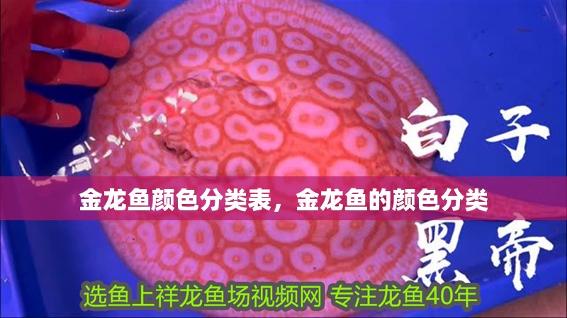 金龍魚顏色分類表，金龍魚的顏色分類