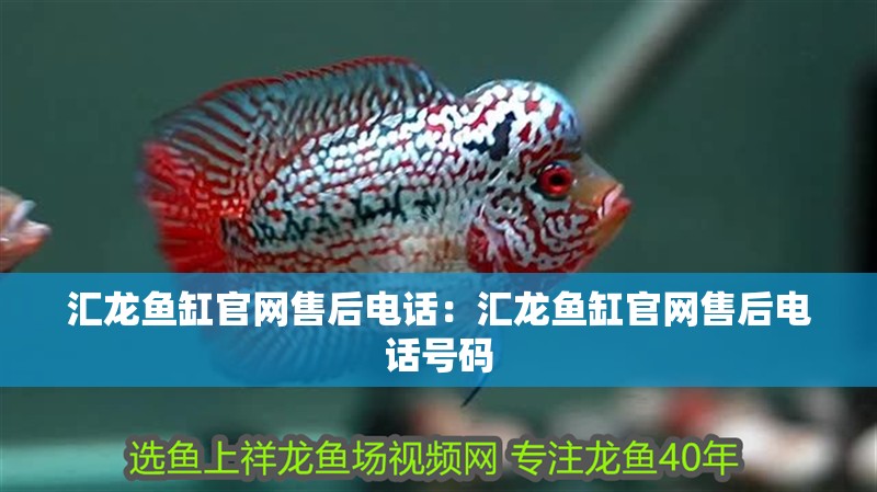 匯龍魚(yú)缸官網(wǎng)售后電話:匯龍魚(yú)缸官網(wǎng)售后電話號(hào)碼 水族問(wèn)答 匯龍魚(yú)缸官網(wǎng)售后電話:匯龍魚(yú)缸官網(wǎng)售后電話號(hào)碼 匯龍魚(yú)缸官網(wǎng)售后電話:匯龍魚(yú)缸官網(wǎng)售后電話號(hào)碼 水族問(wèn)答