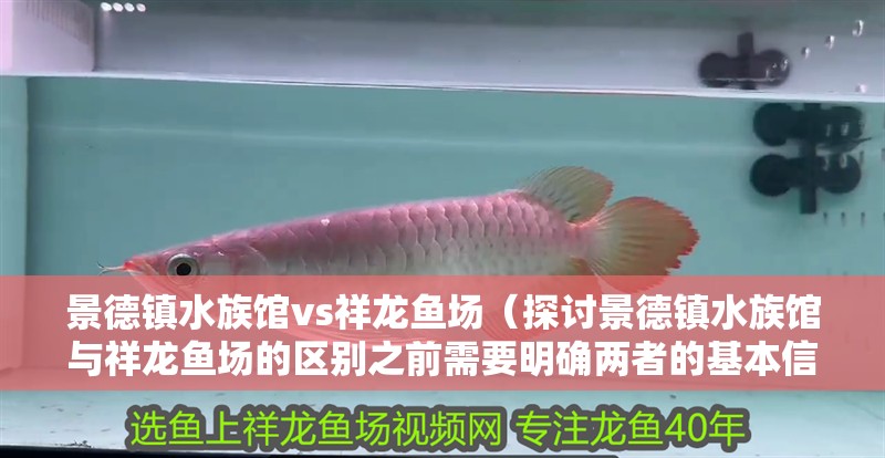 景德鎮(zhèn)水族館vs祥龍魚場（探討景德鎮(zhèn)水族館與祥龍魚場的區(qū)別之前需要明確兩者的基本信息和特點(diǎn)）