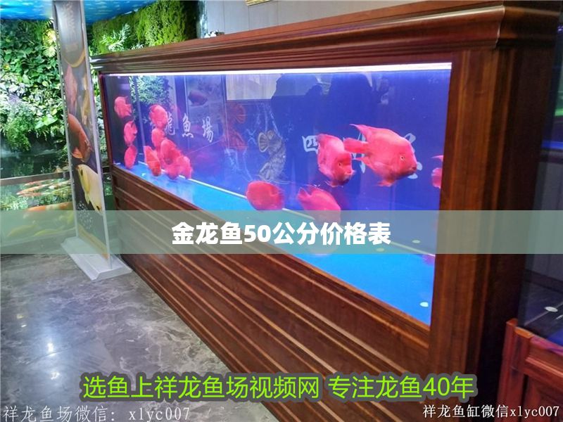 金龍魚50公分價格表 金龍魚50公分價格表 龍魚百科 第2張