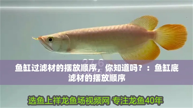 魚缸過濾材的擺放順序，你知道嗎？：魚缸底濾材的擺放順序
