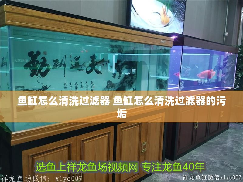 魚缸怎么清洗過濾器 魚缸怎么清洗過濾器的污垢