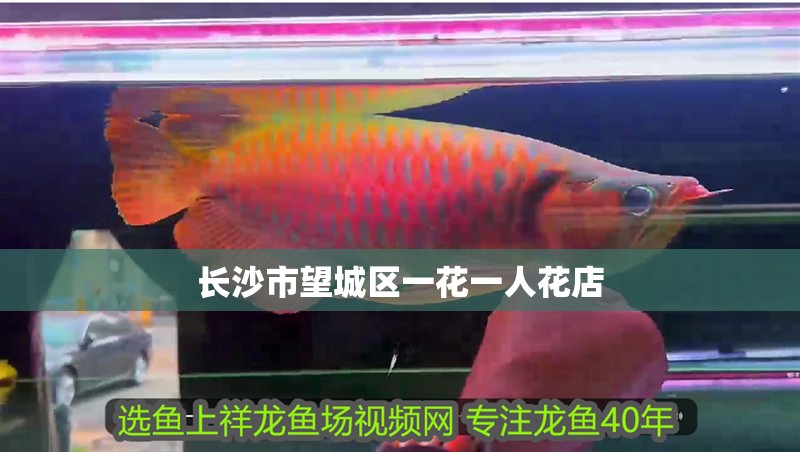 長沙市望城區一花一人花店