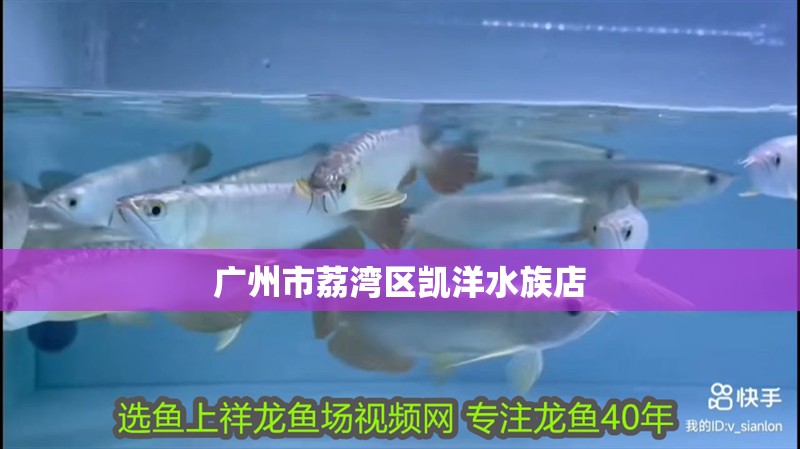 廣州市荔灣區(qū)凱洋水族店 廣州市荔灣區(qū)凱洋水族店 全國(guó)水族館企業(yè)名錄 第2張