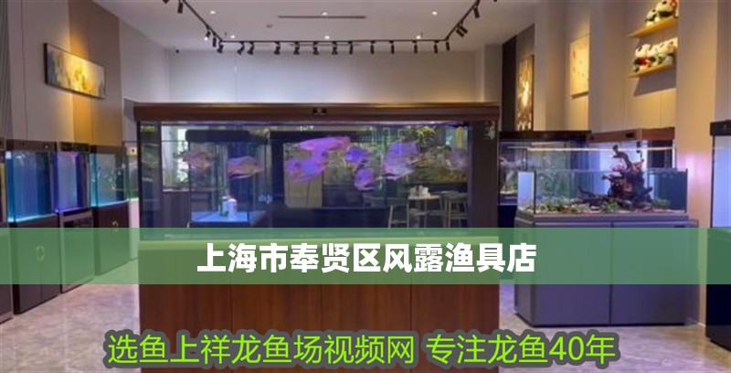 上海市奉賢區風露漁具店