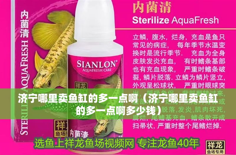 濟寧哪里賣魚缸的多一點啊（濟寧哪里賣魚缸的多一點啊多少錢）
