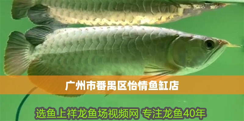 廣州市番禺區(qū)怡情魚缸店
