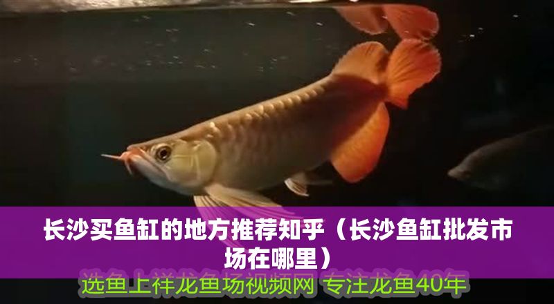 長(zhǎng)沙買魚缸的地方推薦知乎（長(zhǎng)沙魚缸批發(fā)市場(chǎng)在哪里）