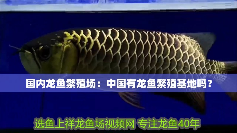 國內龍魚繁殖場：中國有龍魚繁殖基地嗎？