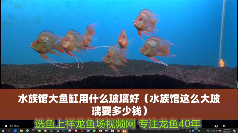 水族館大魚缸用什么玻璃好（水族館這么大玻璃要多少錢）