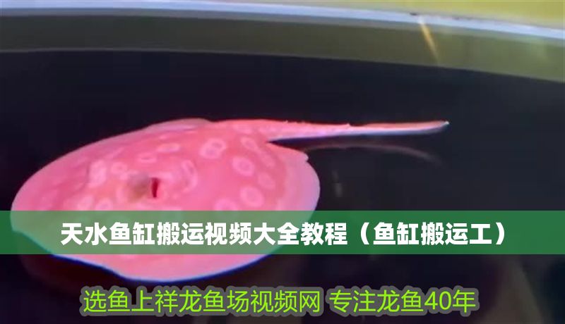 天水魚缸搬運(yùn)視頻大全教程（魚缸搬運(yùn)工）