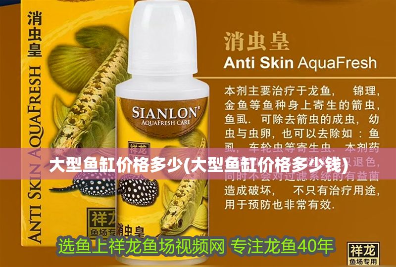 大型魚缸價格多少(大型魚缸價格多少錢)