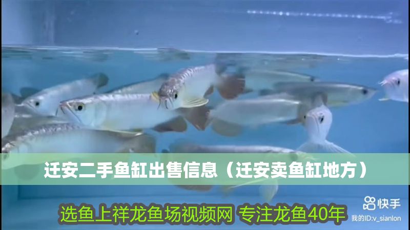 遷安二手魚缸出售信息（遷安賣魚缸地方） 遷安二手魚缸出售信息（遷安賣魚缸地方） 龍魚百科 第1張