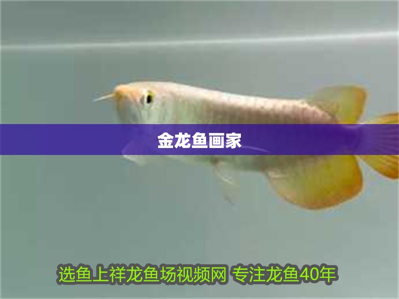 金龍魚畫家