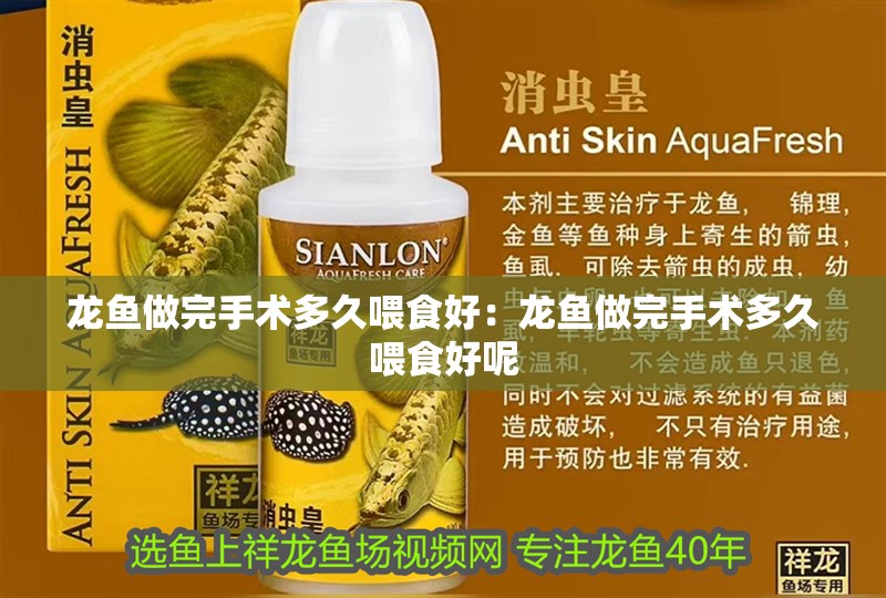 龍魚做完手術多久喂食好：龍魚做完手術多久喂食好呢