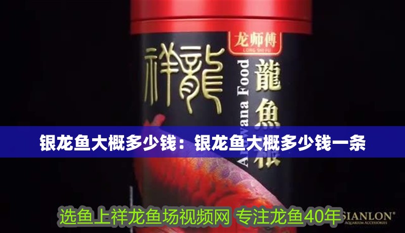 銀龍魚大概多少錢：銀龍魚大概多少錢一條 銀龍魚大概多少錢：銀龍魚大概多少錢一條 水族問答