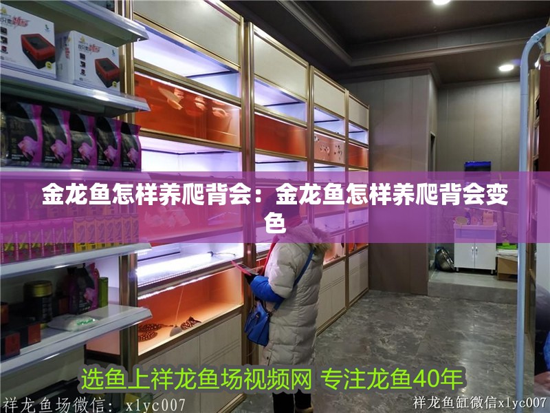 金龍魚怎樣養爬背會：金龍魚怎樣養爬背會變色