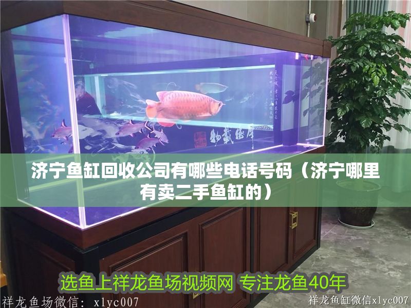 濟(jì)寧魚缸回收公司有哪些電話號(hào)碼（濟(jì)寧哪里有賣二手魚缸的）