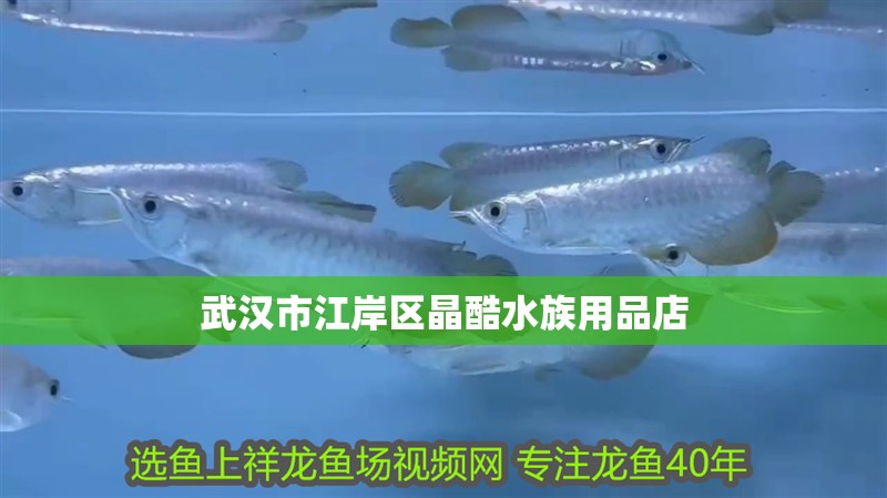 武漢市江岸區晶酷水族用品店 武漢市江岸區晶酷水族用品店 全國水族館企業名錄 第2張