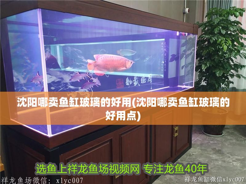 沈陽哪賣魚缸玻璃的好用(沈陽哪賣魚缸玻璃的好用點)
