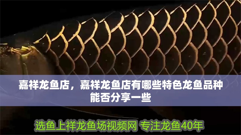 嘉祥龍魚店，嘉祥龍魚店有哪些特色龍魚品種能否分享一些
