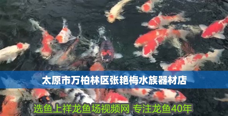 太原市萬柏林區張艷梅水族器材店