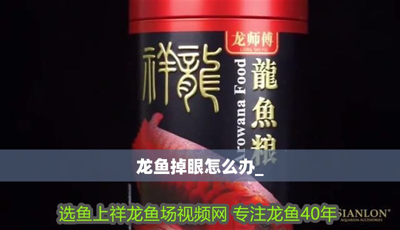 龍魚掉眼怎么辦_ 龍魚掉眼怎么辦_ 龍魚百科 第2張