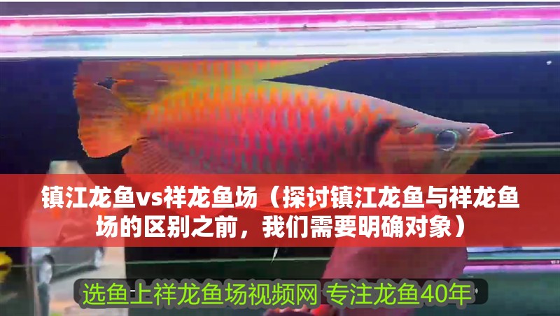 鎮江龍魚vs祥龍魚場(探討鎮江龍魚與祥龍魚場的區別之前,我們需要明確對象) 全國水族館企業名錄 第1張 鎮江龍魚vs祥龍魚場(探討鎮江龍魚與祥龍魚場的區別之前,我們需要明確對象) 鎮江龍魚vs祥龍魚場(探討鎮江龍魚與祥龍魚場的區別之前,我們需要明確對象) 全國水族館企業名錄 第1張