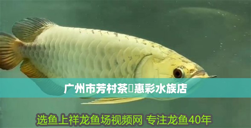 廣州市芳村茶惠彩水族店