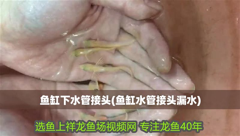 魚缸下水管接頭(魚缸水管接頭漏水)