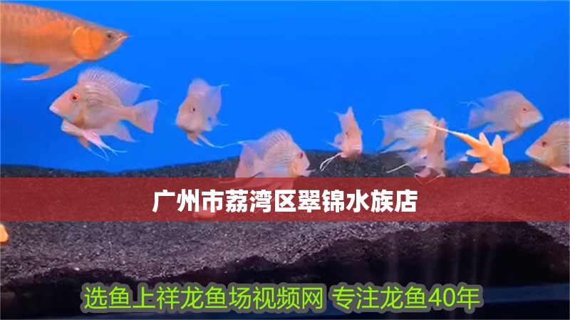 廣州市荔灣區翠錦水族店