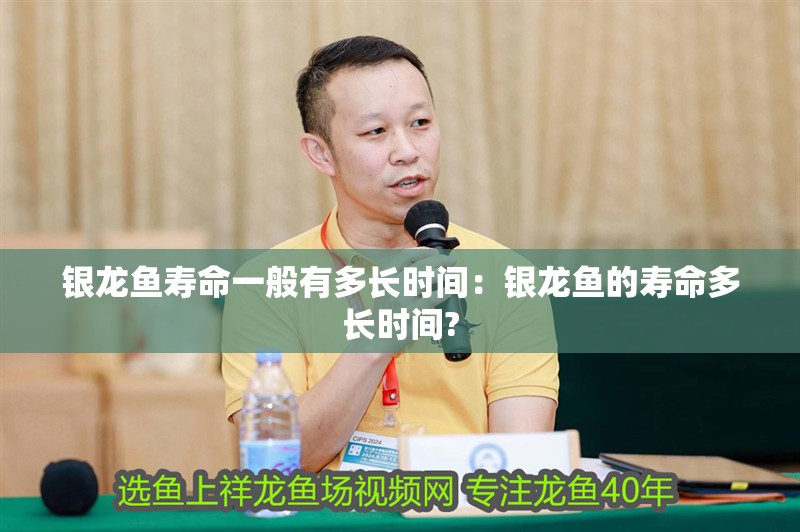 銀龍魚壽命一般有多長時間：銀龍魚的壽命多長時間? 銀龍魚壽命一般有多長時間：銀龍魚的壽命多長時間? 水族問答