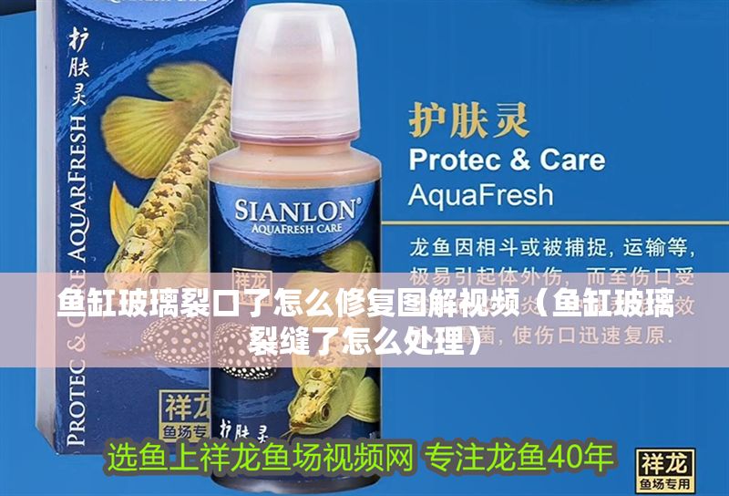 魚缸玻璃裂口了怎么修復(fù)圖解視頻（魚缸玻璃裂縫了怎么處理） 魚缸玻璃裂口了怎么修復(fù)圖解視頻（魚缸玻璃裂縫了怎么處理） 龍魚百科 第1張