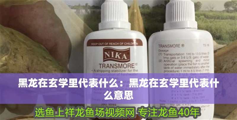 黑龍在玄學里代表什么：黑龍在玄學里代表什么意思