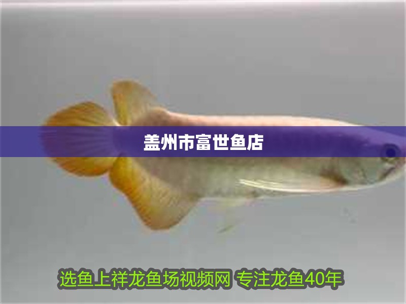 蓋州市富世魚店 蓋州市富世魚店 全國水族館企業(yè)名錄 第1張