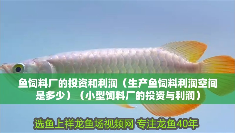 魚飼料廠的投資和利潤（生產魚飼料利潤空間是多少）（小型飼料廠的投資與利潤）